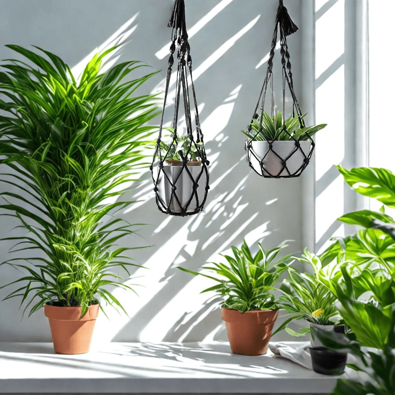 3c012497-a284-4dad-b469-fb293a87b4d7 (1) 3c012497-a284-4dad-b469-fb293a87b4d7 (1)