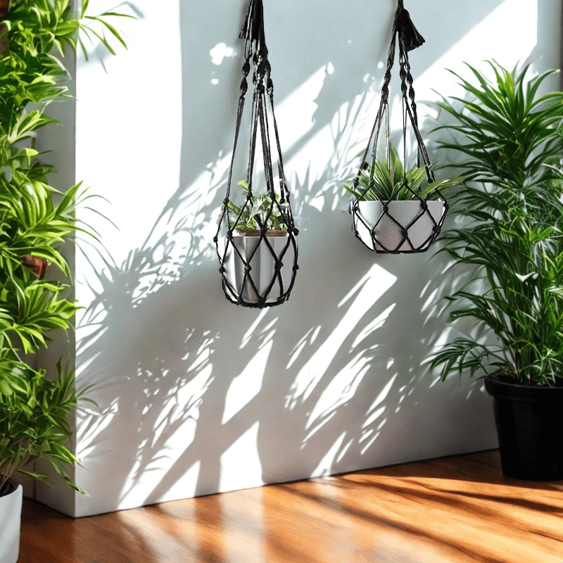 c37a1561-5f0a-4b0a-85f4-7262d642fbac (1) c37a1561-5f0a-4b0a-85f4-7262d642fbac (1)