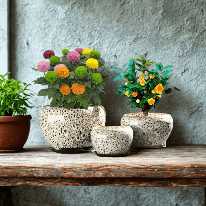 f4daeb16-de81-405f-8d37-d448aa87efa6 f4daeb16-de81-405f-8d37-d448aa87efa6